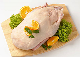 DUCK
