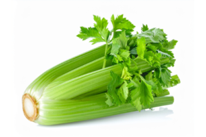 CELERY HEAD