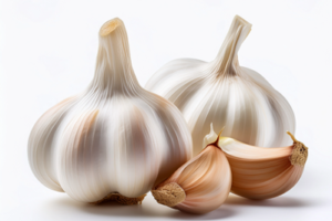GARLIC